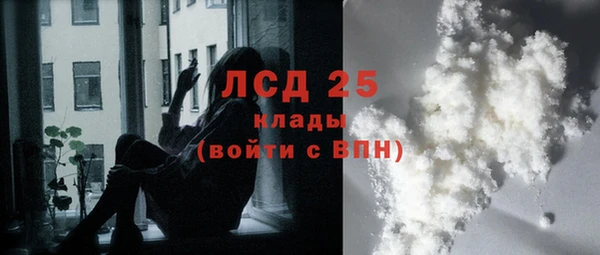 гидра Арсеньев