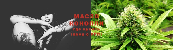гидра Арсеньев