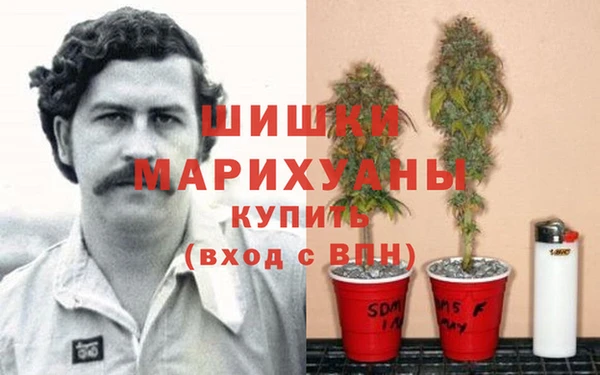 гидра Арсеньев
